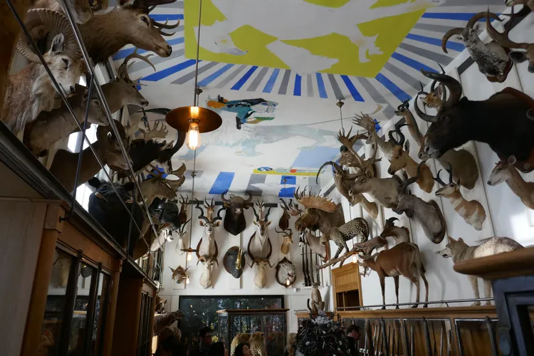 Le Musée de la Chasse et de la Nature à Paris - Ours polaire